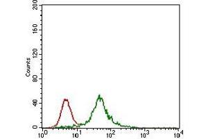 Flow cytometric analysis of HEK293 cells using ZFP42 mouse mAb (green) and negative control (red). (ZFP42 抗体  (AA 249-310))