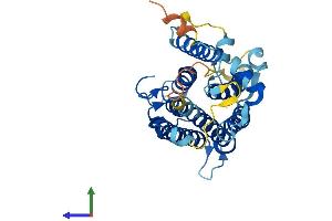 Protein Structure (PS) image for Steroid 5 alpha-Reductase 3 (SRD5A3) (AA 1-330) protein (His tag) (ABIN7556286)