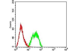 Flow cytometric analysis of THP-1 cells using CD267 mouse mAb (green) and negative control (red).