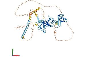 Protein Structure (PS) image for Poly-U Binding Splicing Factor 60KDa (PUF60) (AA 1-564) protein (His tag) (ABIN7563706)