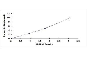 Typical standard curve (FEN1 ELISA 试剂盒)