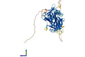 Protein Structure (PS) image for Recombination Signal Binding Protein For Immunoglobulin kappa J Region-Like (RBPJL) (AA 1-517) protein (His tag) (ABIN7551242)