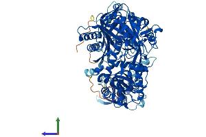 AlphaFold protein structure predicition of Human Recombinant AGO4 Protein, UniprotID Q9HCK5