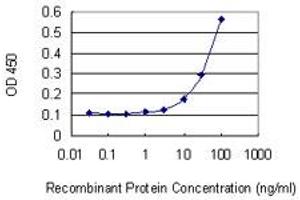 Detection limit for recombinant GST tagged ELK4 is 3 ng/ml as a capture antibody. (ELK4 抗体  (AA 118-206))