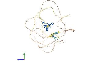 Protein Structure (PS) image for Chromobox Homolog 2 (CBX2) (AA 1-519) protein (His tag) (ABIN7563093)