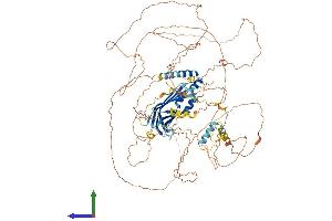 AlphaFold protein structure predicition of Human Recombinant MAP10 Protein, UniprotID Q9P2G4 (MAP10 Protein (AA 1-905) (His tag))