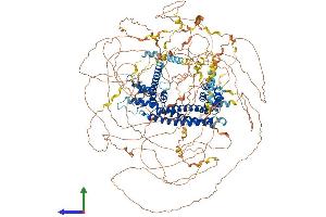 AlphaFold protein structure predicition of Mouse Recombinant Fmn2 Protein, UniprotID Q9JL04 (Formin 2 Protein (FMN2) (AA 1-1578) (His tag))