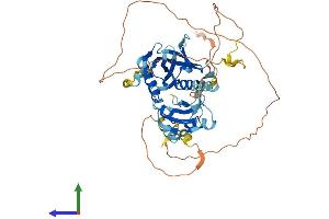 Protein Structure (PS) image for SHC (Src Homology 2 Domain Containing) Transforming Protein 3 (SHC3) (AA 1-474) protein (His tag) (ABIN7557665)