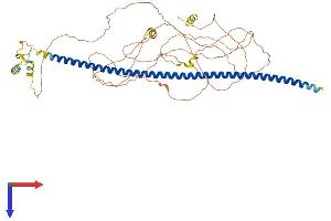 BEGAIN Protein (AA 1-593) (His tag)