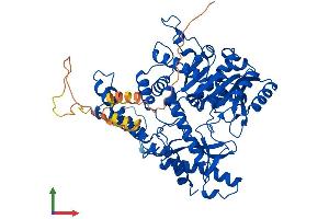 Protein Structure (PS) image for Glutamate Decarboxylase 2 (Pancreatic Islets and Brain, 65kDa) (GAD2) (AA 1-585) protein (His tag) (ABIN7546977)