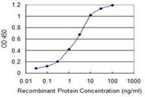 Detection limit for recombinant GST tagged ZNF365 is 0. (ZNF365 抗体  (AA 147-219))