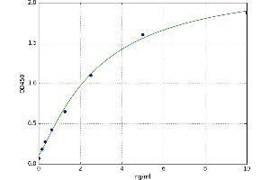 A typical standard curve (UGT1A1 ELISA 试剂盒)