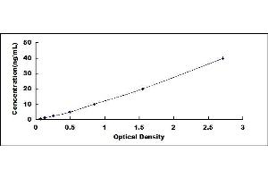 Typical standard curve (TIE1 ELISA 试剂盒)