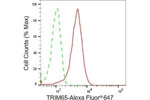 anti-Tripartite Motif Containing 65 (TRIM65) antibody