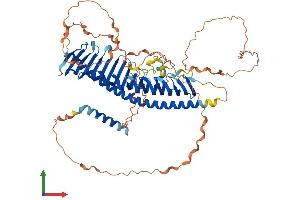 Protein Structure (PS) image for Junctophilin 4 (JPH4) (AA 1-628) protein (His tag) (ABIN7554292)
