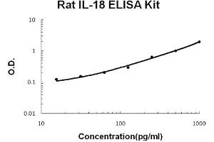 Rat IL-18 Accusignal ELISA Kit Rat IL-18 AccuSignal ELISA Kit standard curve. (IL-18 ELISA 试剂盒)