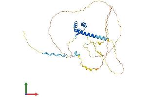 AlphaFold protein structure predicition of Human Recombinant HMX3 Protein, UniprotID A6NHT5