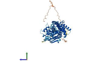 Protein Structure (PS) image for ATP-Binding Cassette, Sub-Family G (WHITE), Member 4 (ABCG4) (AA 1-646) protein (His tag) (ABIN7551872)