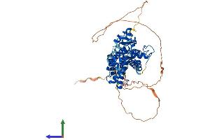 Protein Structure (PS) image for RAR-Related Orphan Receptor C (RORC) (AA 1-516) protein (His tag) (ABIN7563381)