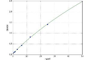 Janus Kinase 1 (JAK1) ELISA Kit