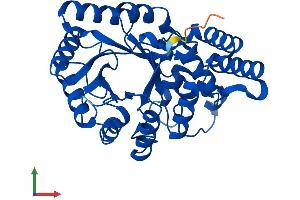 Protein Structure (PS) image for Aldo-Keto Reductase Family 7, Member A3 (Aflatoxin Aldehyde Reductase) (AKR7A3) (AA 1-331) protein (His tag) (ABIN7552335)