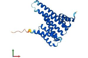 AlphaFold protein structure predicition of Human Recombinant YWHAB Protein, UniprotID P31946 (YWHAB Protein (AA 1-246) (His tag))