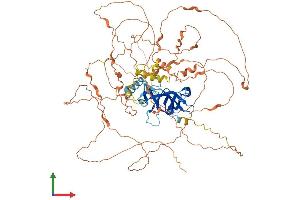 AlphaFold protein structure predicition of Human Recombinant BAHD1 Protein, UniprotID Q8TBE0
