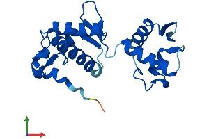 Protein Structure (PS) image for Vacuolar Protein-Sorting-Associated Protein 25 (VPS25) (AA 1-176) protein (His tag) (ABIN7545087)