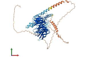 Protein Structure (PS) image for DDB1 and CUL4 Associated Factor 8 (DCAF8) (AA 1-597) protein (His tag) (ABIN7546976)