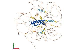 Protein Structure (PS) image for Discs, Large (Drosophila) Homolog-Associated Protein 1 (DLGAP1) (AA 1-992) protein (His tag) (ABIN7564982)
