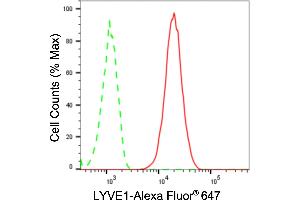 Flow cytometric analysis of LYVE1 expression in HT- cells using LYVE1 antibody (ABIN7799288), 1:2,000).
