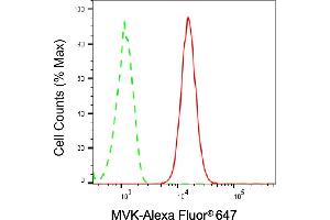 Flow cytometric analysis of MVK expression in HT- cells using MVK antibody (ABIN7799401), 1:2,000).