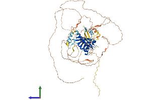 Protein Structure (PS) image for Aryl-Hydrocarbon Receptor Repressor (AHRR) (AA 1-701) protein (His tag) (ABIN7563696)