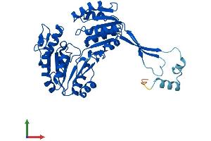 AlphaFold protein structure predicition of Human Recombinant ALDH3B2 Protein, UniprotID P48448