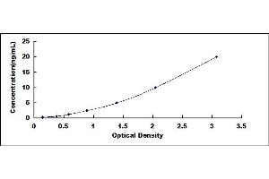 Typical standard curve (PLA2G7 ELISA 试剂盒)