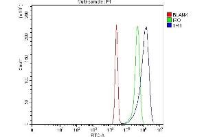 Flow Cytometry analysis of K562 cells using anti-TPI1 antibody (ABIN7599216). (TPI1 抗体  (AA 1-286))