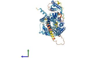 Protein Structure (PS) image for Solute Carrier Family 7 (Cationic Amino Acid Transporter, Y+ System), Member 2 (SLC7A2) (AA 1-657) protein (His tag) (ABIN7562927)