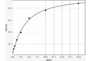 Typical standard curve (P4HA1 ELISA 试剂盒)