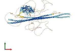 Protein Structure (PS) image for STE20-Like Kinase (SLK) (AA 1-1233) protein (His tag) (ABIN7562462)