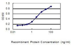 Detection limit for recombinant GST tagged IKIP is 0. (IKbIP 抗体  (AA 1-377))