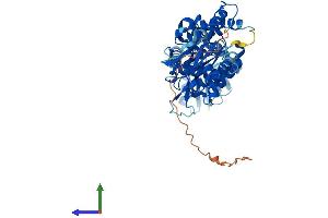 Protein Structure (PS) image for Malate Dehydrogenase 1B, NAD (Soluble) (MDH1B) (AA 1-518) protein (His tag) (ABIN7549299)