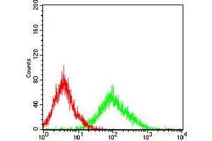 Flow cytometric analysis of MCF-7 cells using SNAI2 mouse mAb (green) and negative control (red).