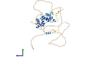 AlphaFold protein structure predicition of Human Recombinant PAX2 Protein, UniprotID Q02962
