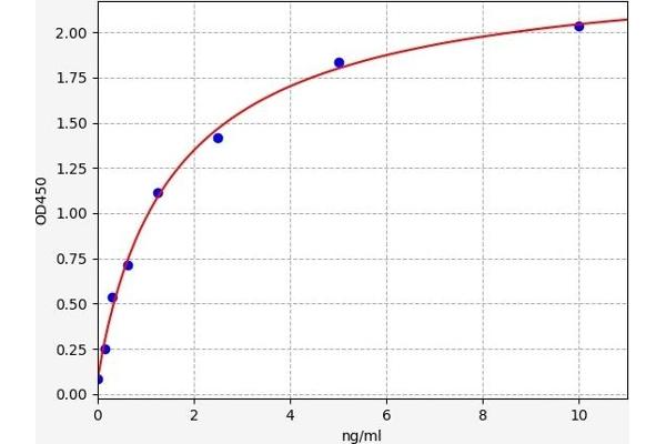 Prokineticin Receptor 1 ELISA 试剂盒