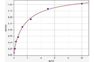 Typical standard curve (Prokineticin Receptor 1 ELISA 试剂盒)