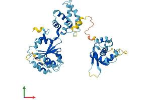 Protein Structure (PS) image for Origin Recognition Complex, Subunit 5 (ORC5) (AA 1-435) protein (His tag) (ABIN7550114)