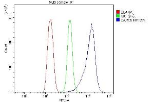 Flow Cytometry analysis of HEPA1-6 cells using anti-CARD9 antibody (ABIN7599386). (CARD9 抗体  (AA 1-429))