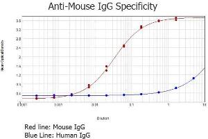 ELISA results of purified Rabbit anti-Mouse IgG Antibody (min x Human Serum Proteins) tested against purified Mouse IgG. (兔 anti-小鼠 IgG (Heavy & Light Chain) Antibody - Preadsorbed)
