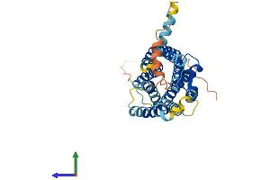 Protein Structure (PS) image for Chemokine (C-C Motif) Receptor 6 (CCR6) (AA 1-374) protein (His tag) (ABIN7553022)