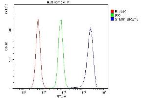 Flow Cytometry analysis of RAW264. (Stathmin 1 抗体  (N-Term))
